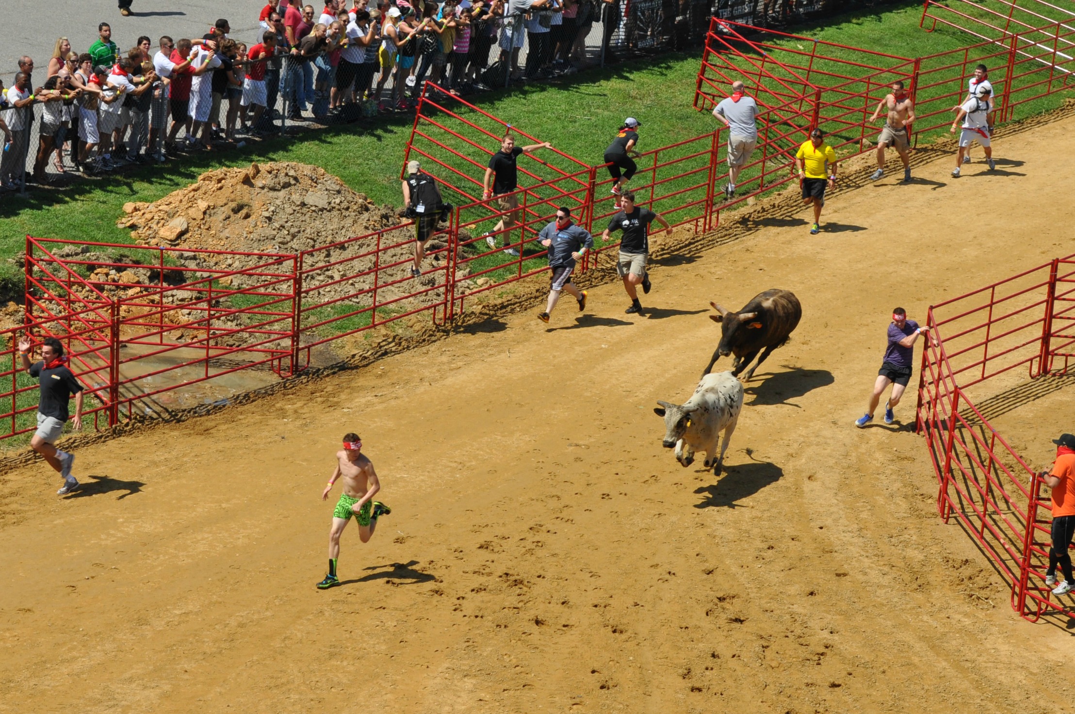 running-with-the-bulls-on-a-virginia-racetrack-the-atlantic